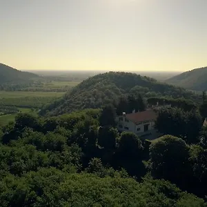 Fattoria Busa Dell'oro Monte Ortone